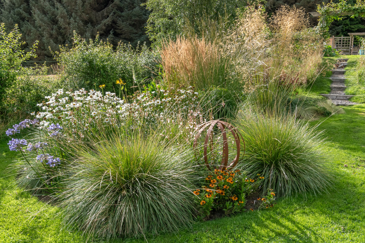 Garden With a View - Tigh Braigh, grasses