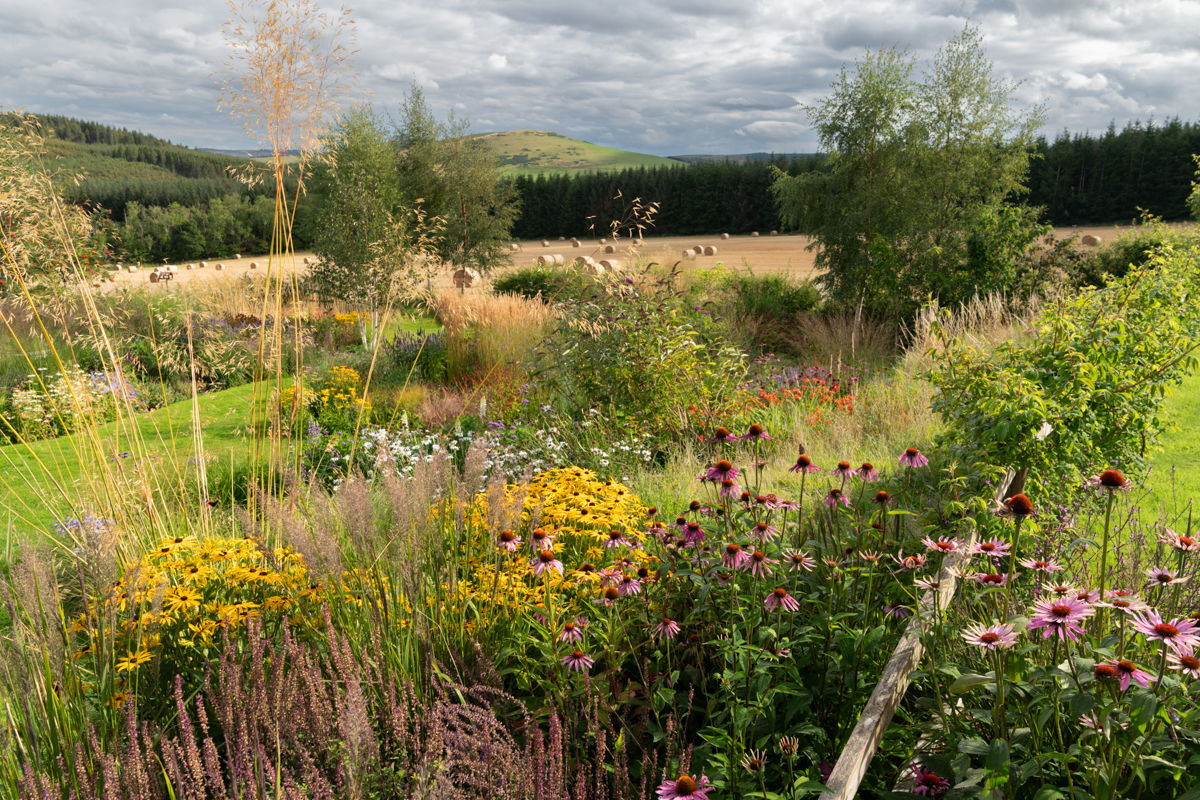 Garden With a View - Tigh Braigh, echinacea, rudbeckia