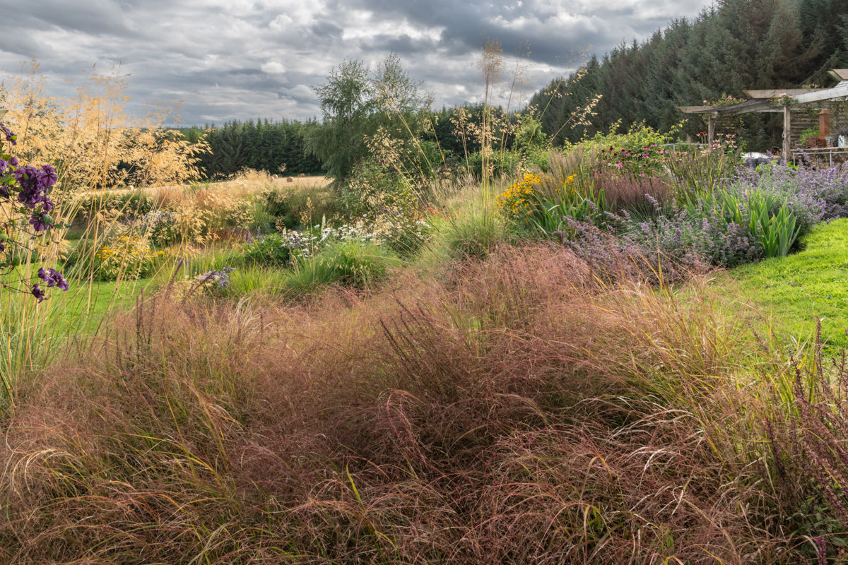 Garden With a View - Tigh Braigh, grasses