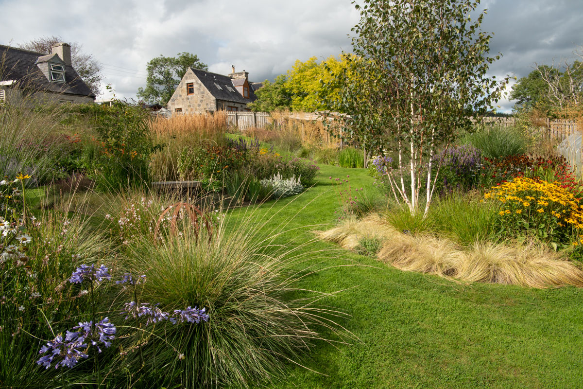 Garden With a View - Tigh Braigh, borders and Silver Birch