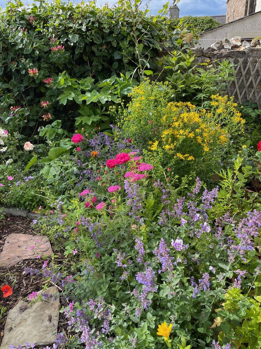 An Orkney Apothecary Garden