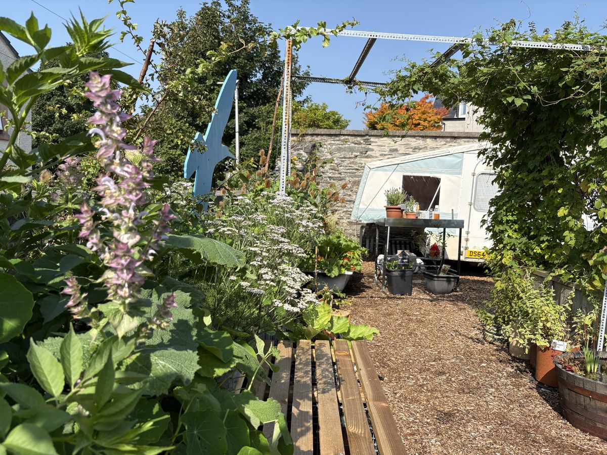 Dunoon Goes POP Drinks Garden