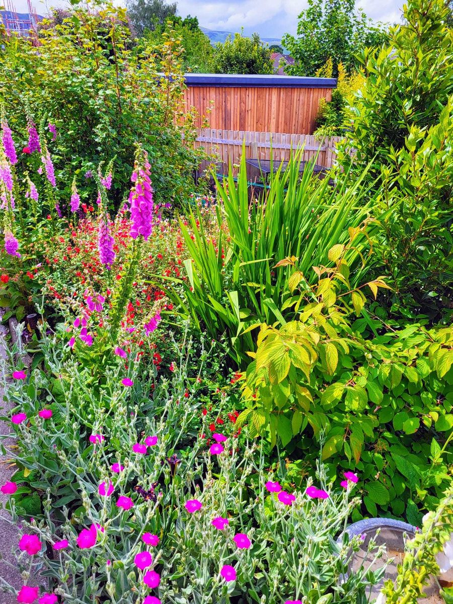 Pentland Crescent Gardens