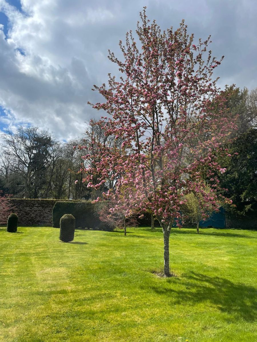 Marcus Walled Garden