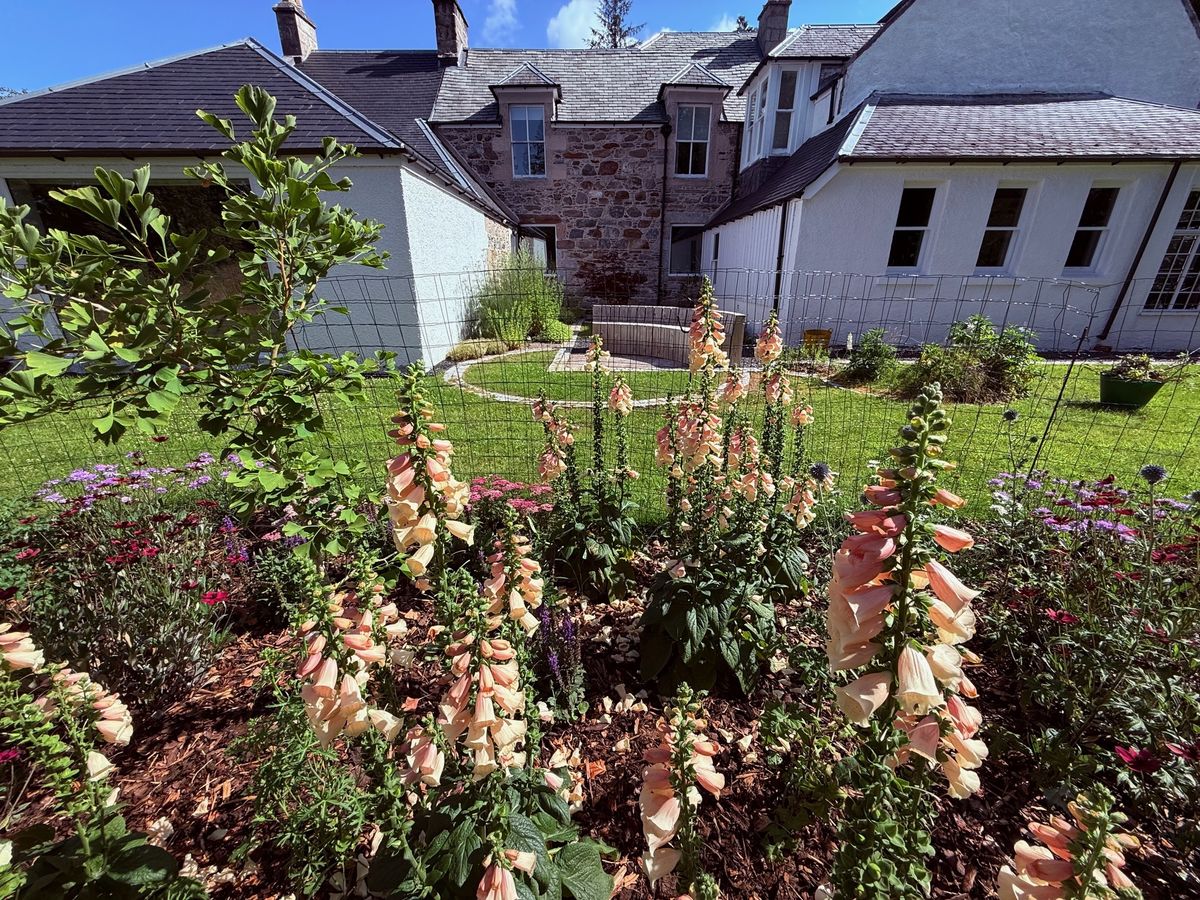 Earth House Apothecary Gardens