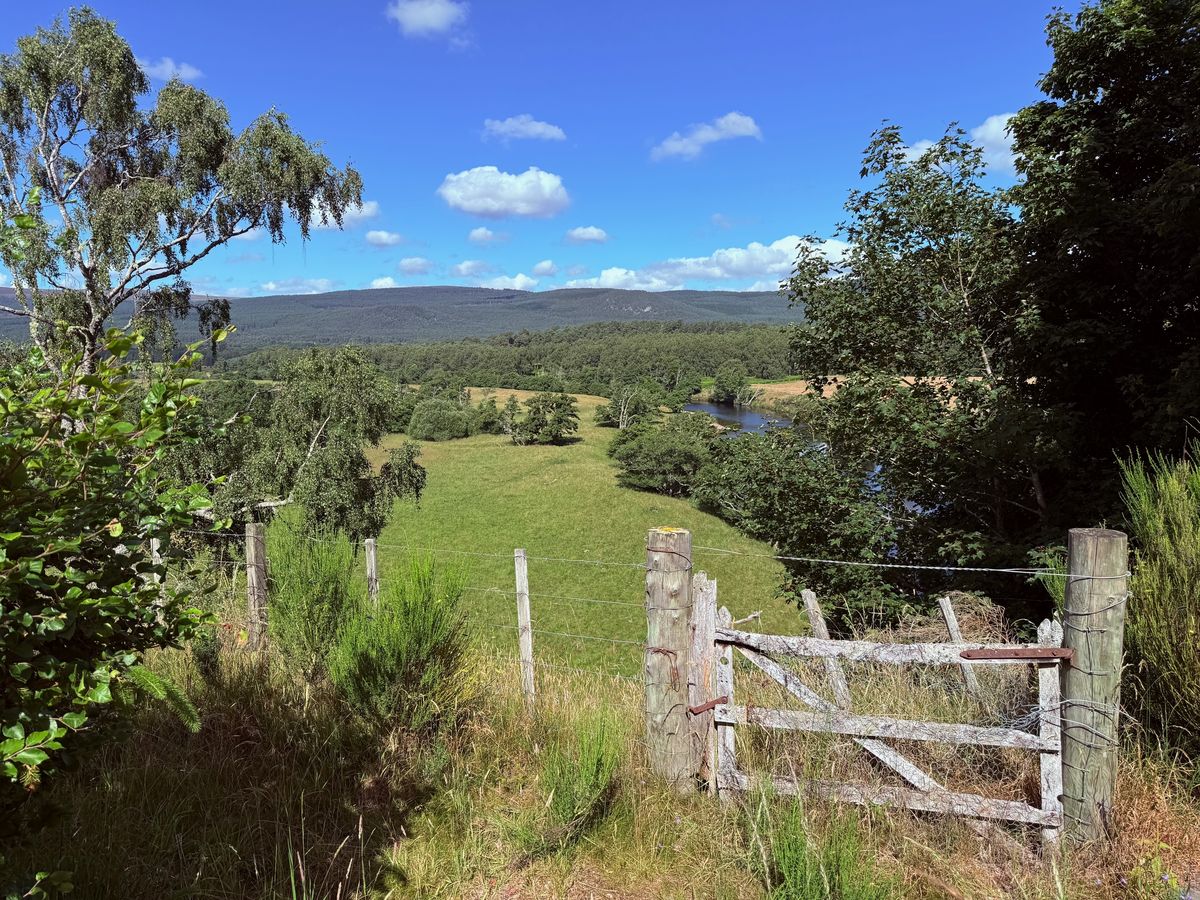 Earth House Apothecary Gardens