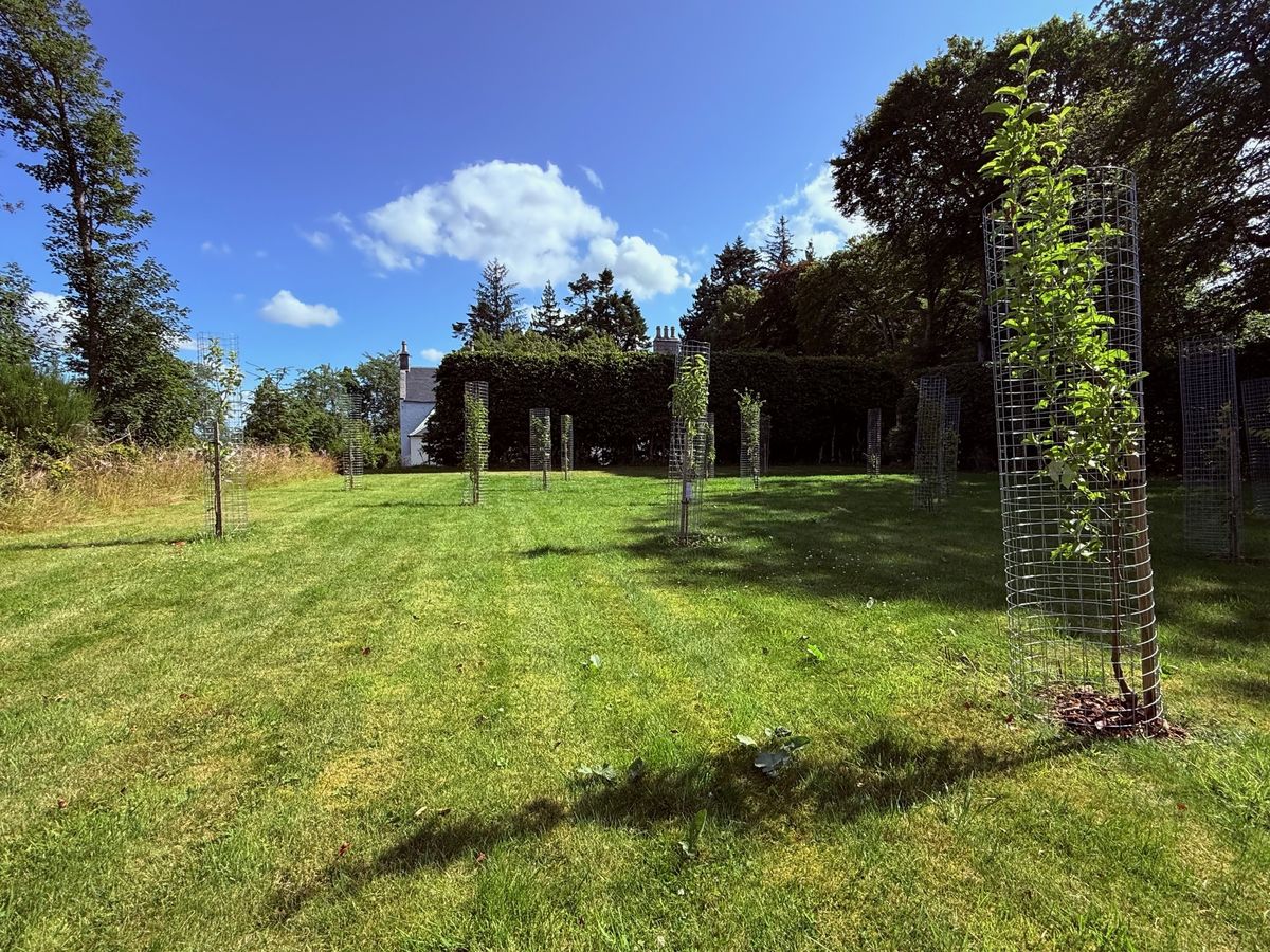 Earth House Apothecary Gardens