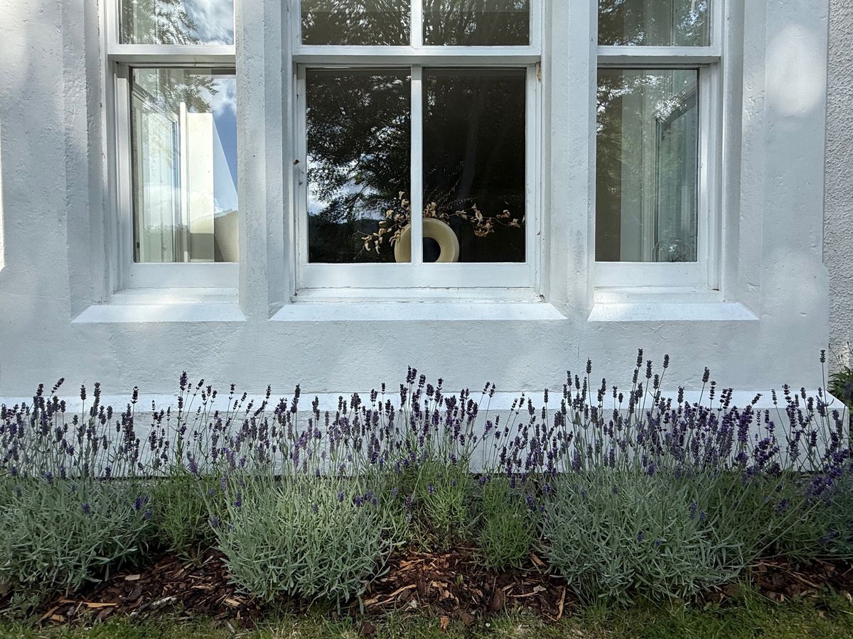 Earth House Apothecary Gardens