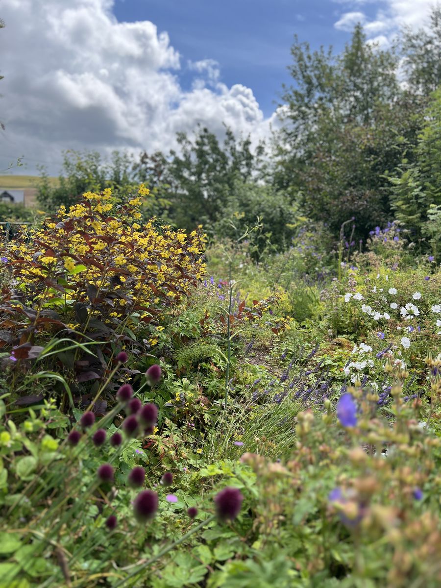 The Steading