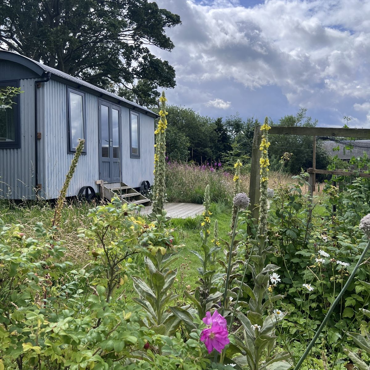The Steading