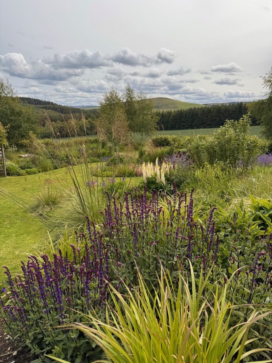 Garden With a View - Tigh Braigh