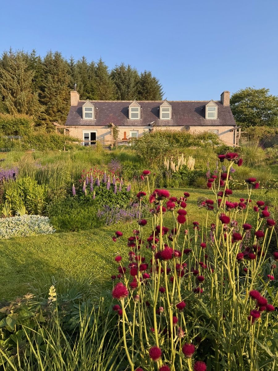 Garden With a View - Tigh Braigh