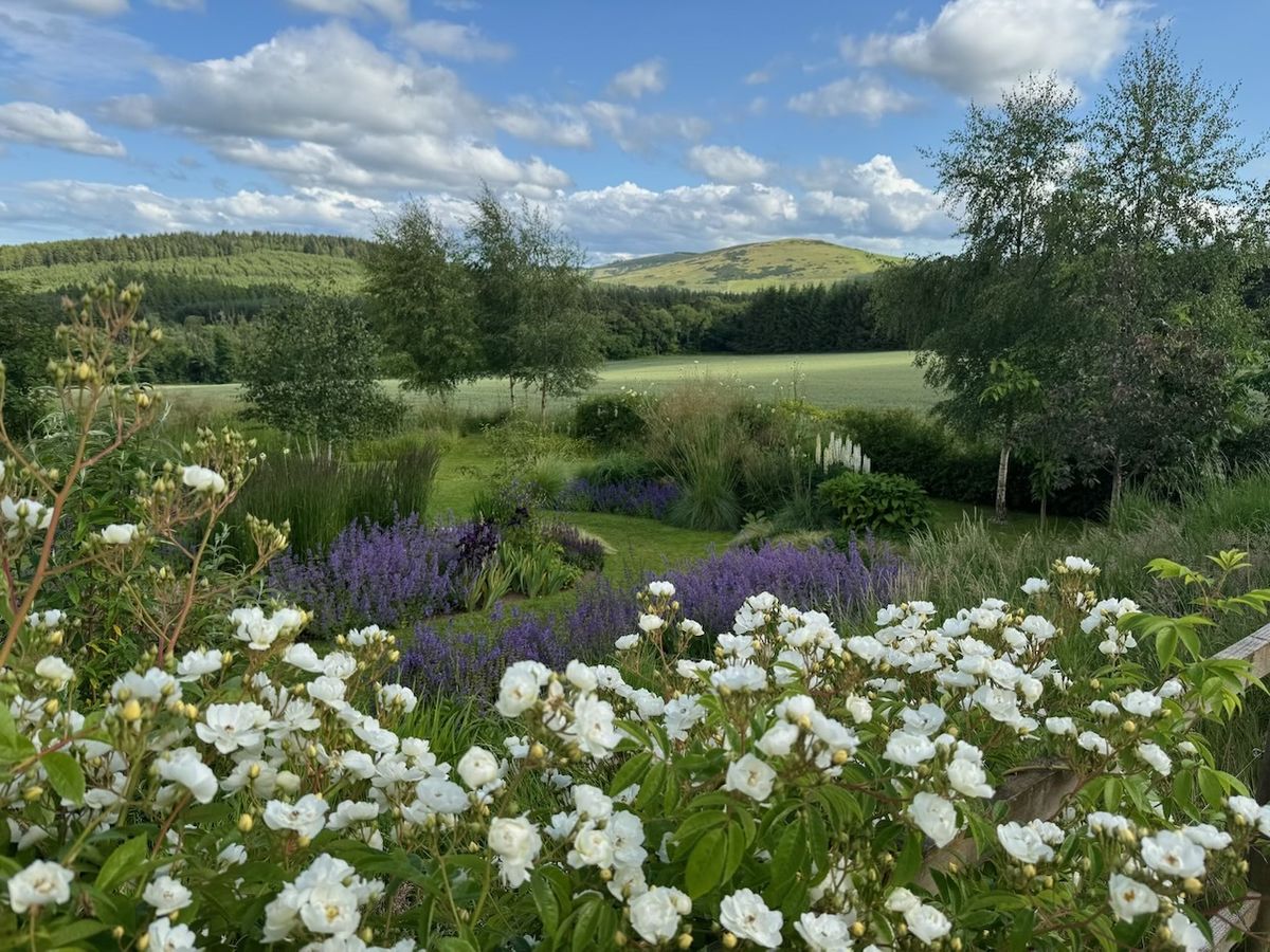 Garden With a View - Tigh Braigh