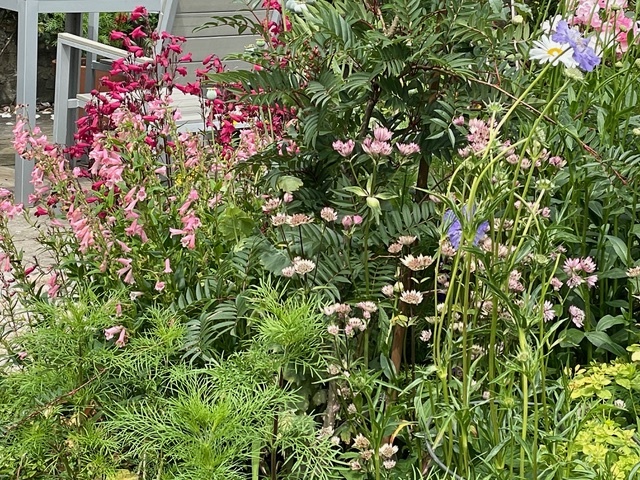 13 Bangholm Bower Avenue