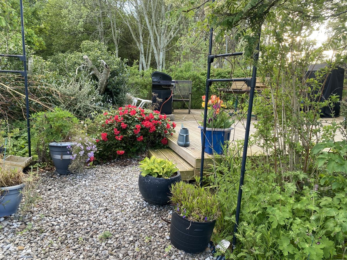 The House beside the Rowan