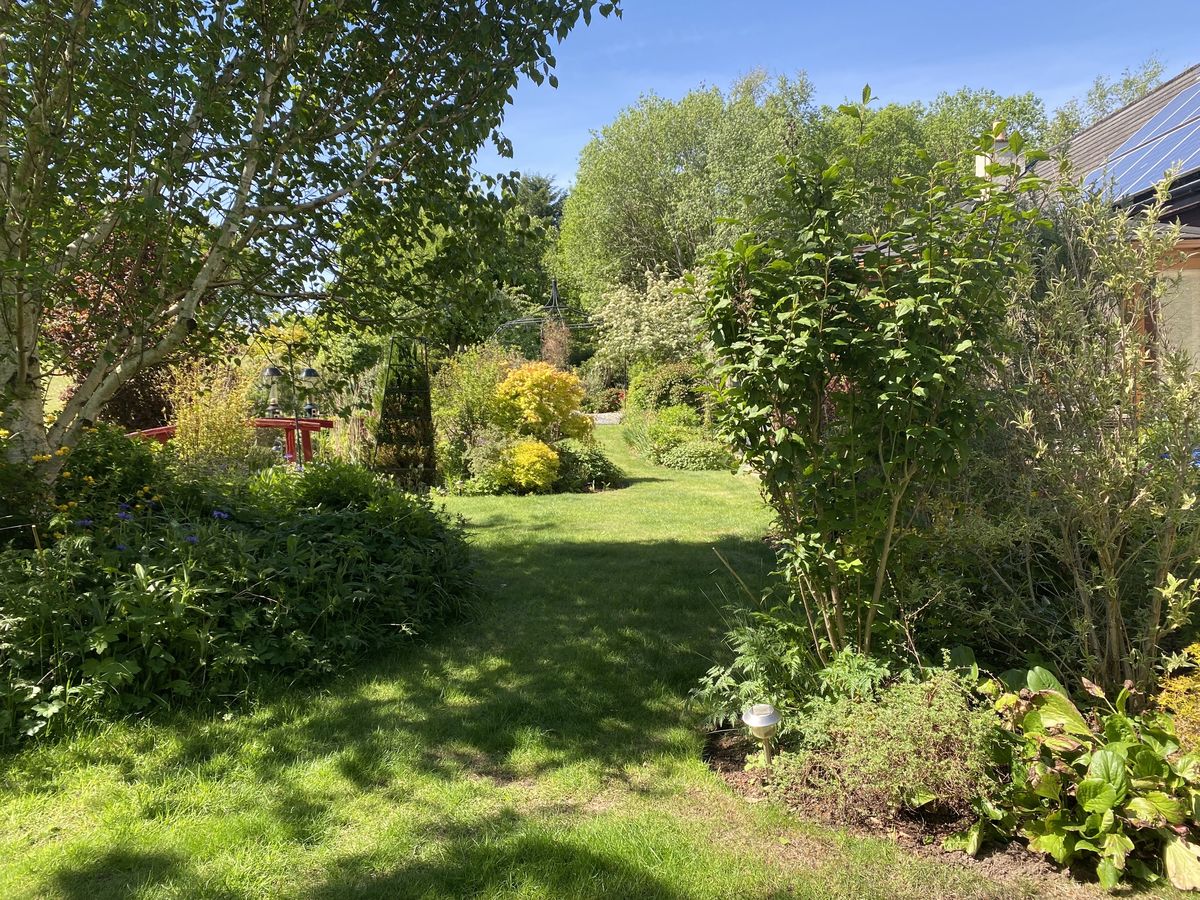 The House beside the Rowan