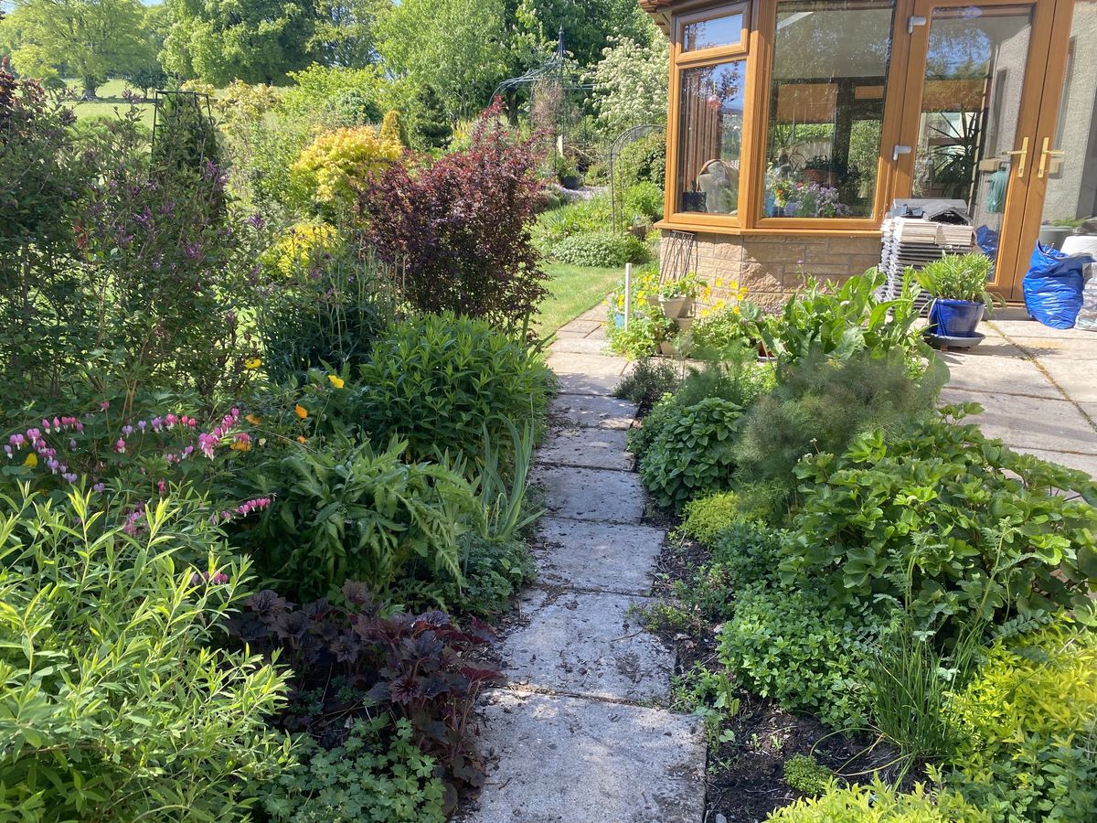 The House beside the Rowan