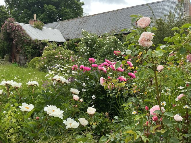 Laundry Cottage