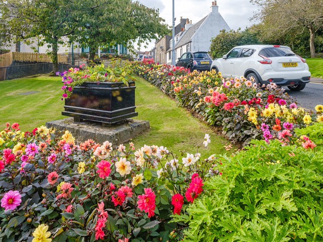 West Kilbride Community Gardens