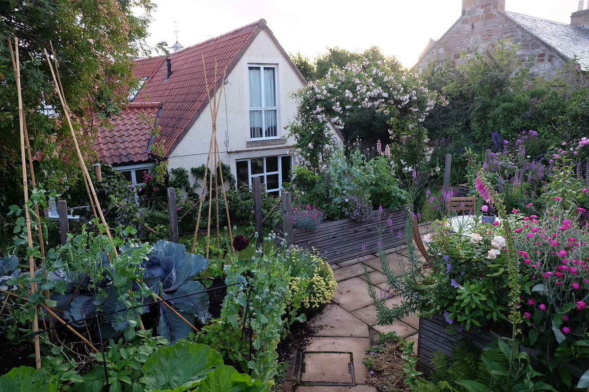 Mercat Cottage veg plot
