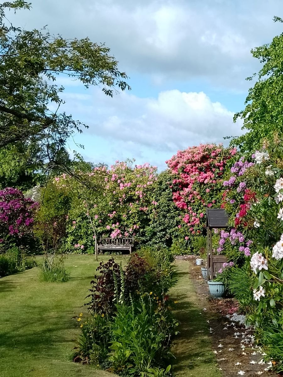 Muckhart Open Gardens