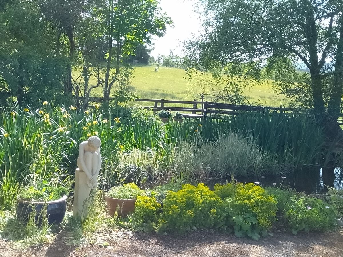 Muckhart Open Gardens
