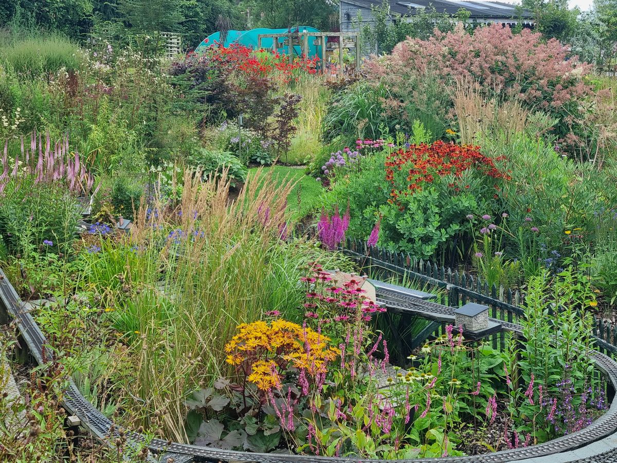 Quercus Garden Plants