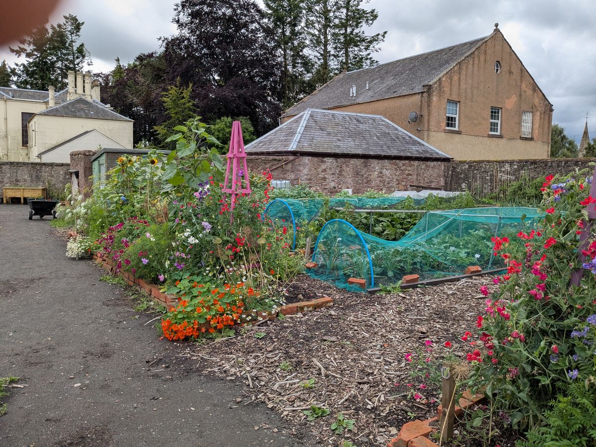 Rattray Community Garden