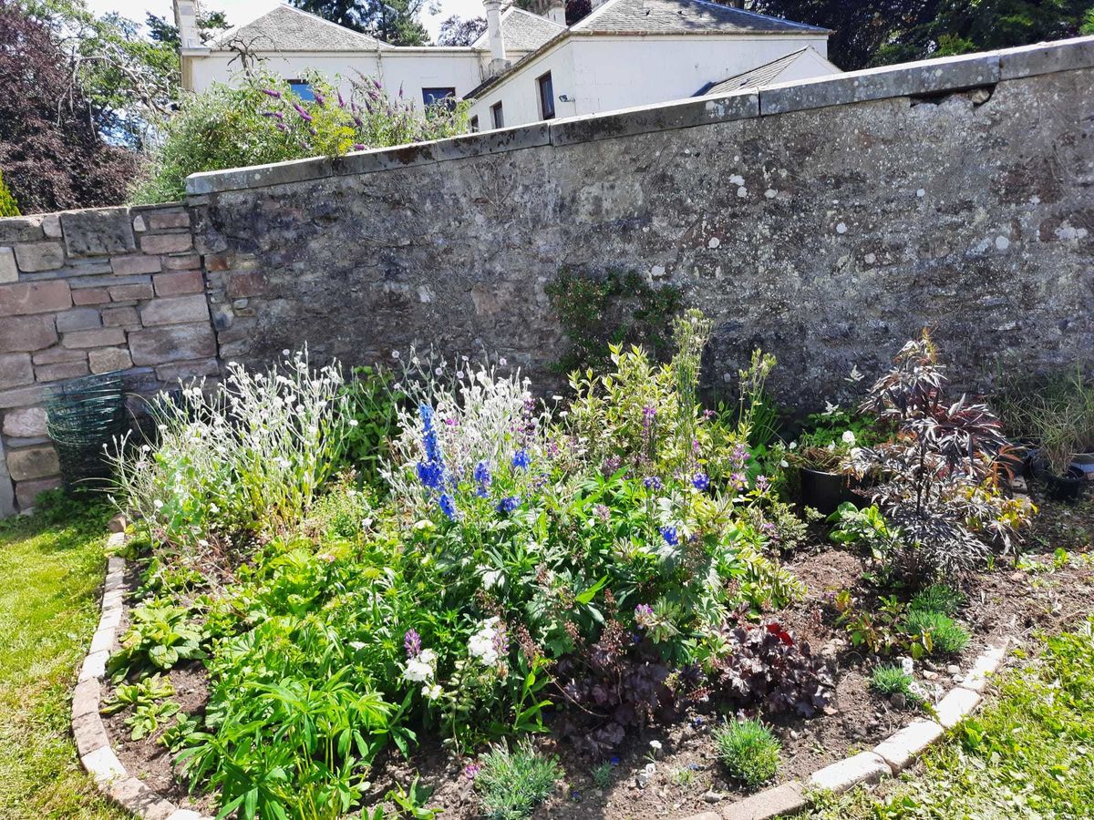 Rattray Community Garden