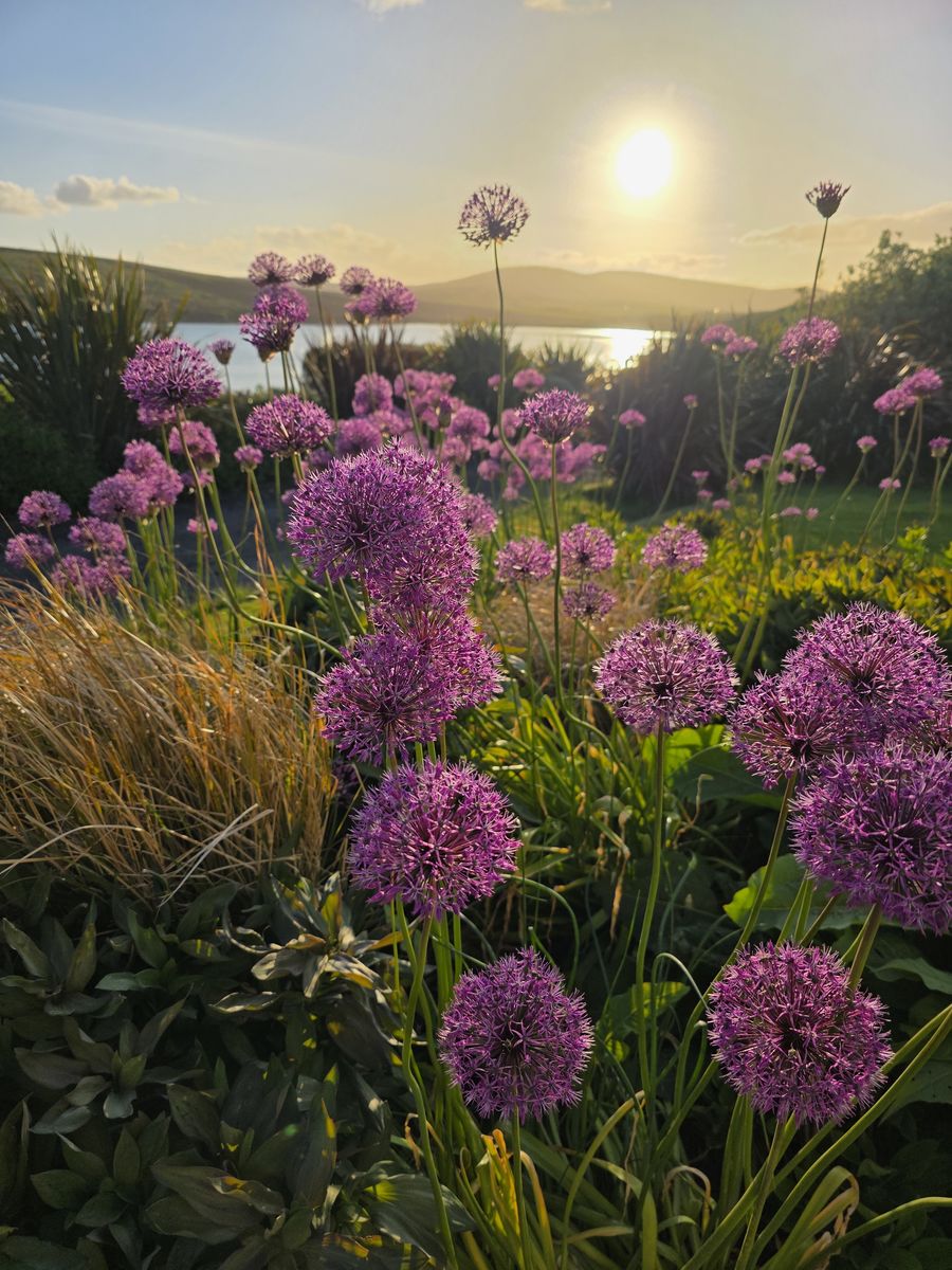 Waulkmill Garden