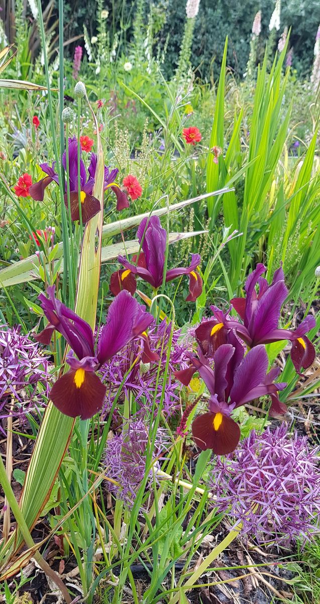 Waulkmill Garden