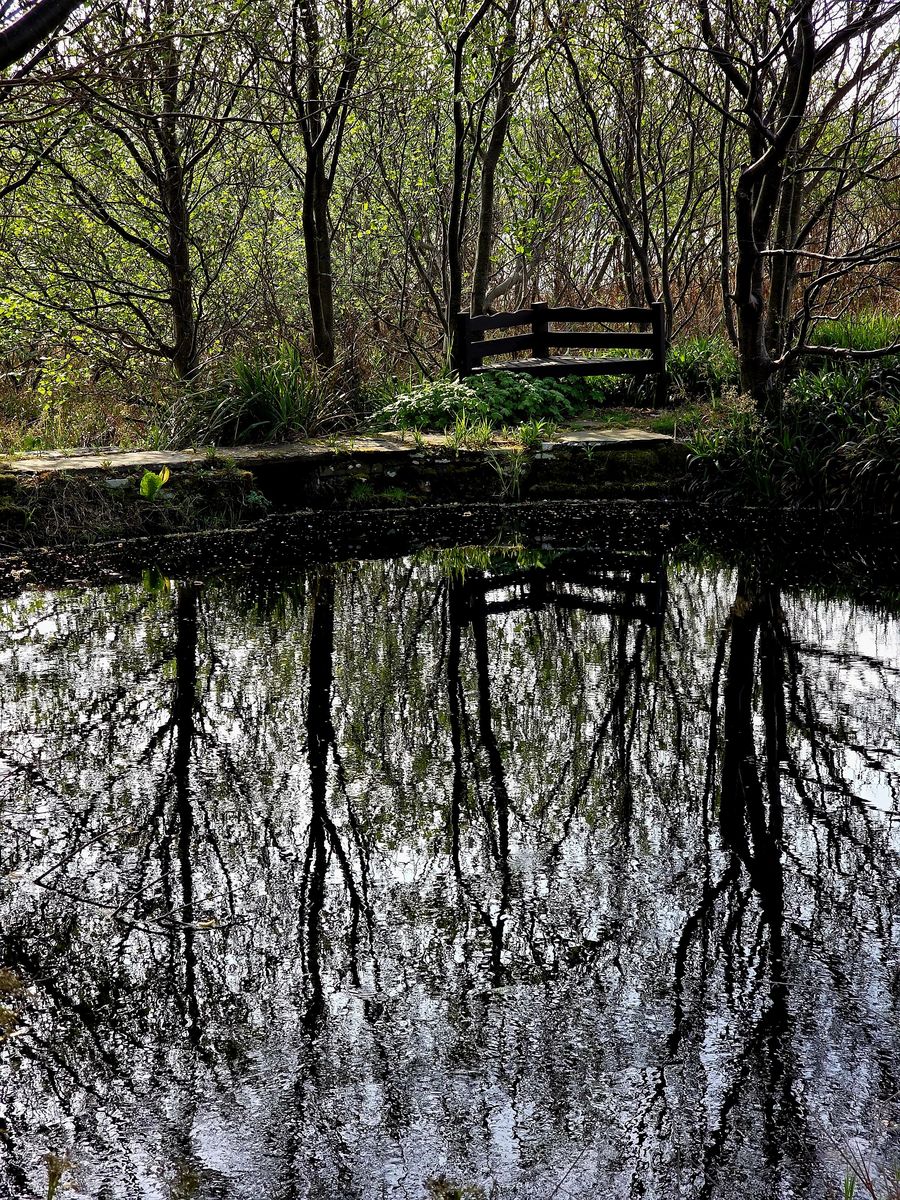 Waulkmill Garden