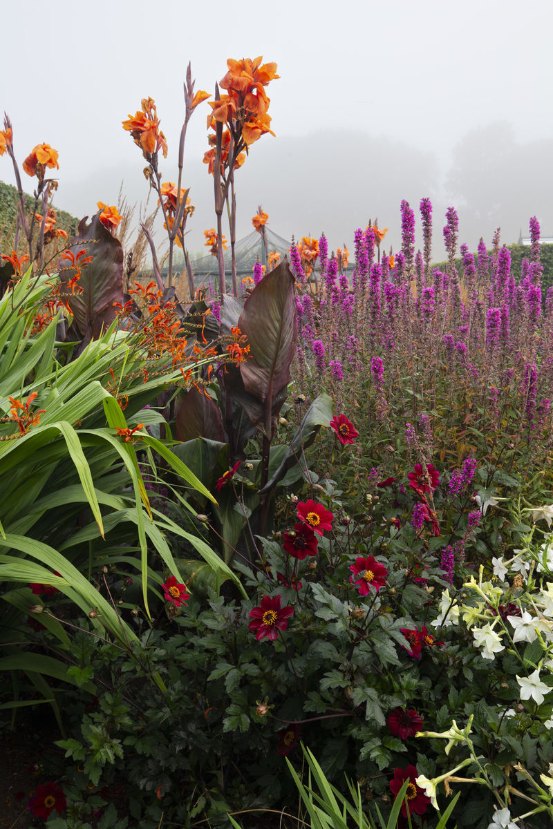 Whitburgh House Walled Garden