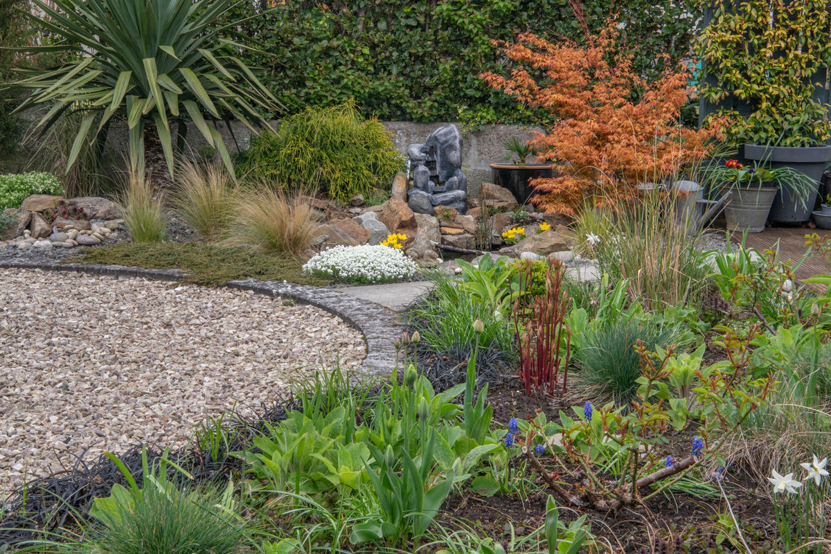 1 Alvah Terrace, pond and circular boders
