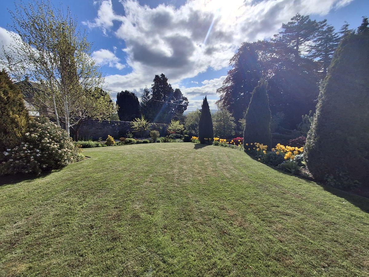 The Orchard