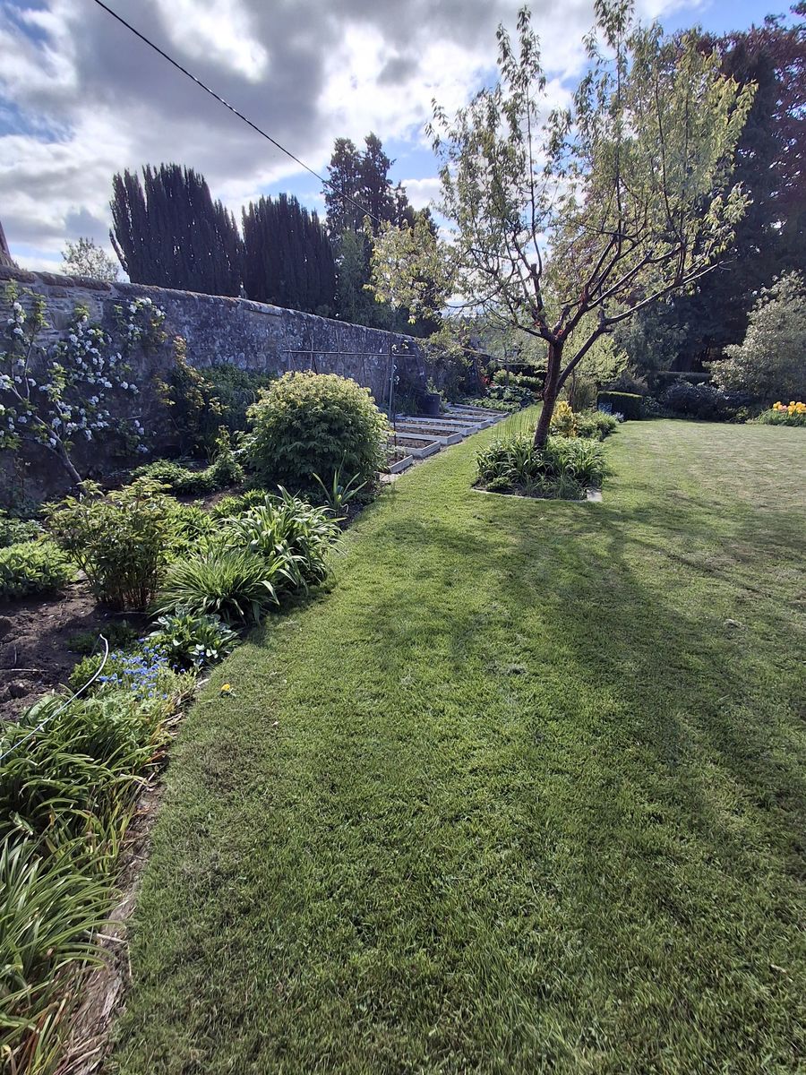 The Orchard
