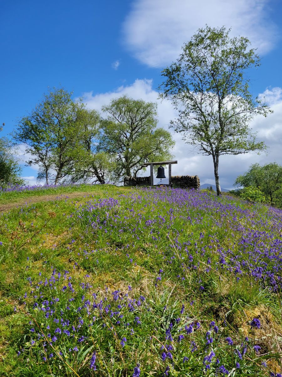 Angus's Garden, Barguillean