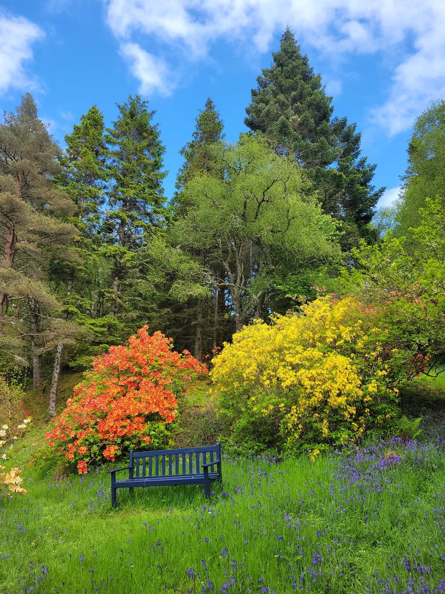 Angus's Garden, Barguillean