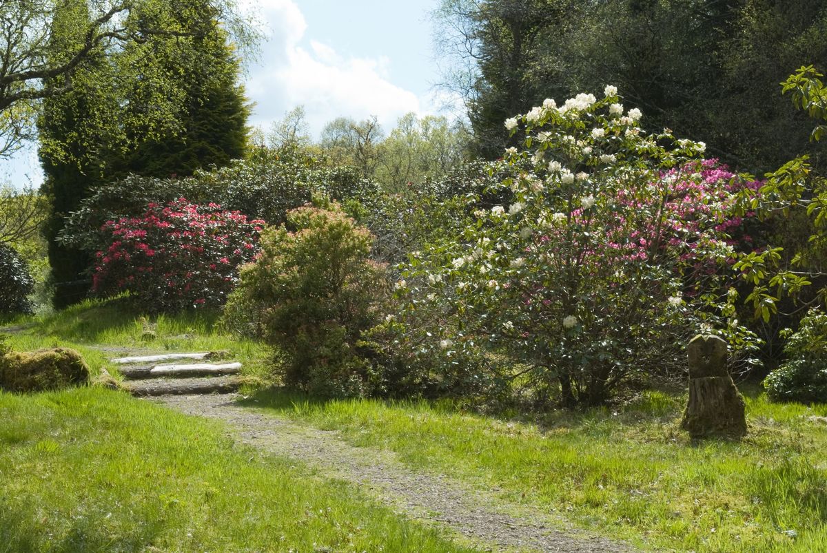 Angus's Garden, Barguillean