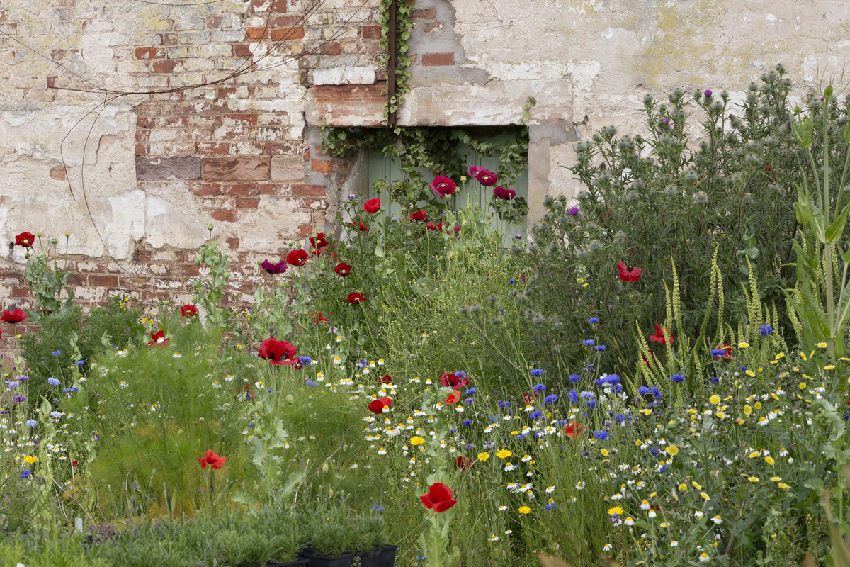 The Gardens at Archerfield Walled Garden