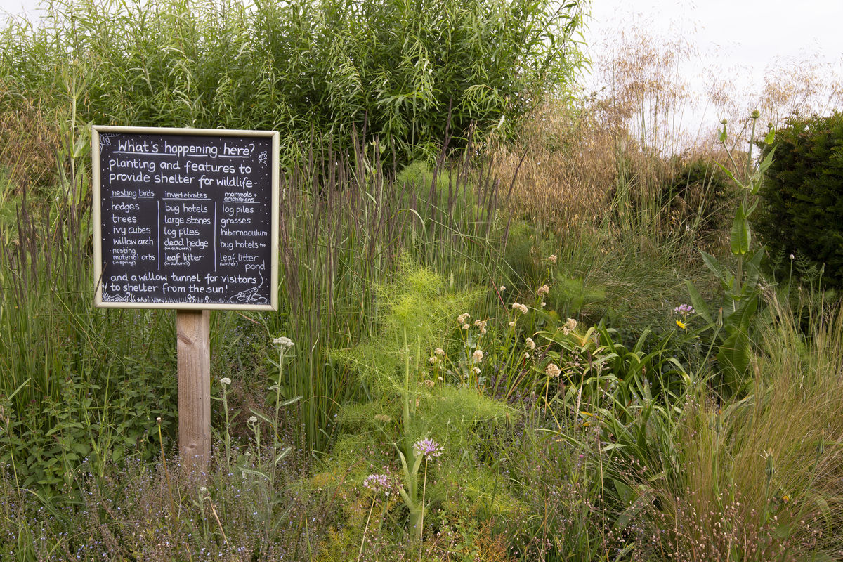 The Gardens at Archerfield Walled Garden
