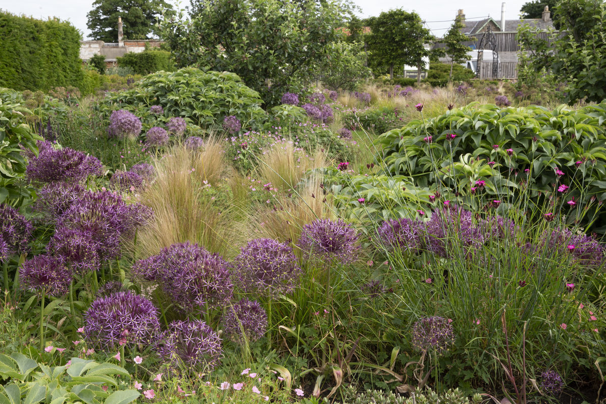 The Gardens at Archerfield Walled Garden