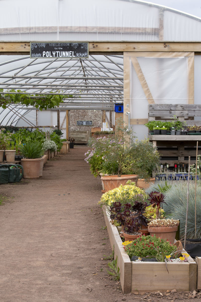 The Gardens at Archerfield Walled Garden