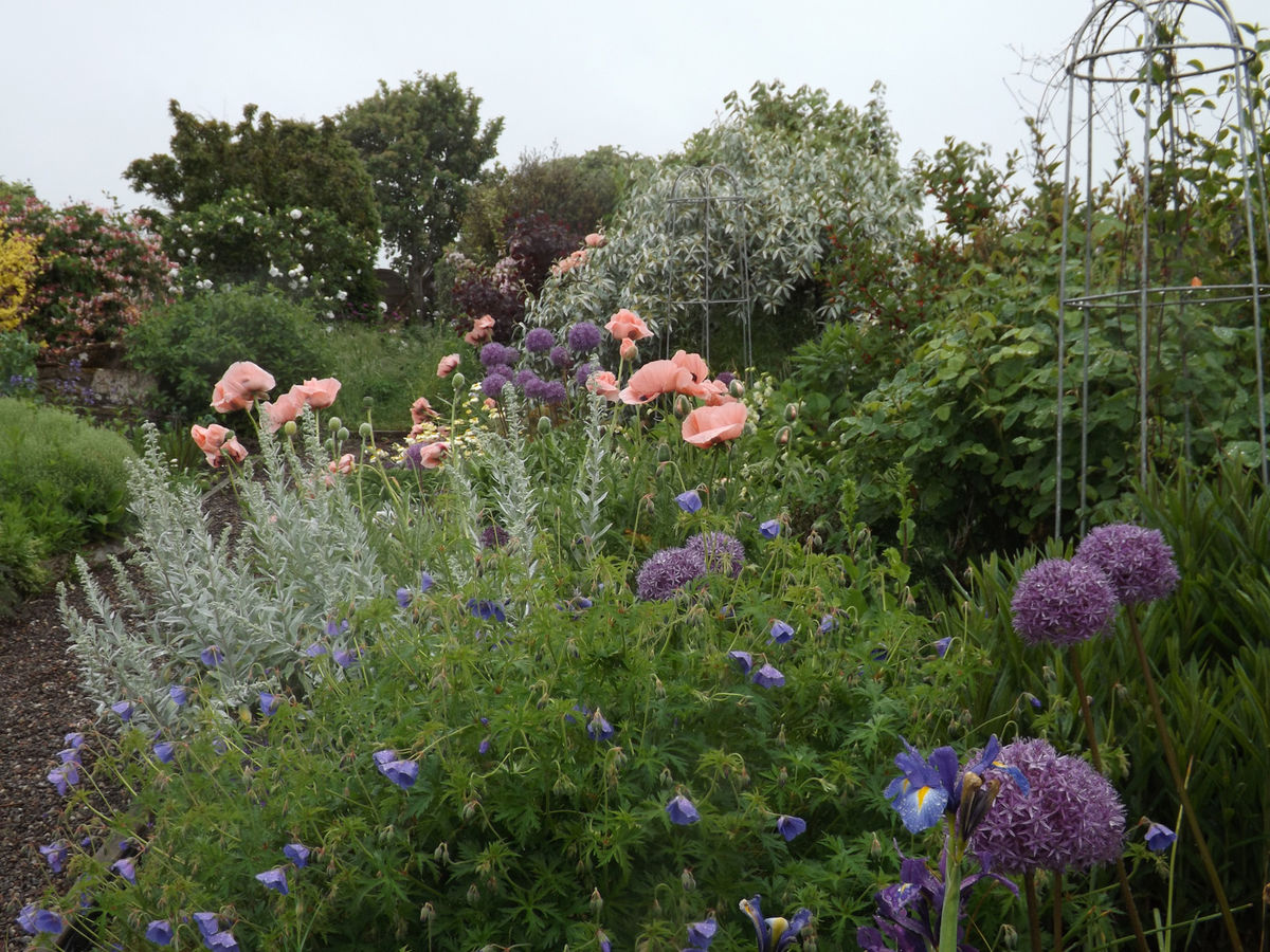 Boarhills Village Gardens