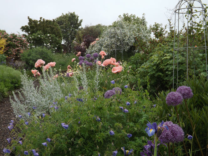 Boarhills Village Gardens