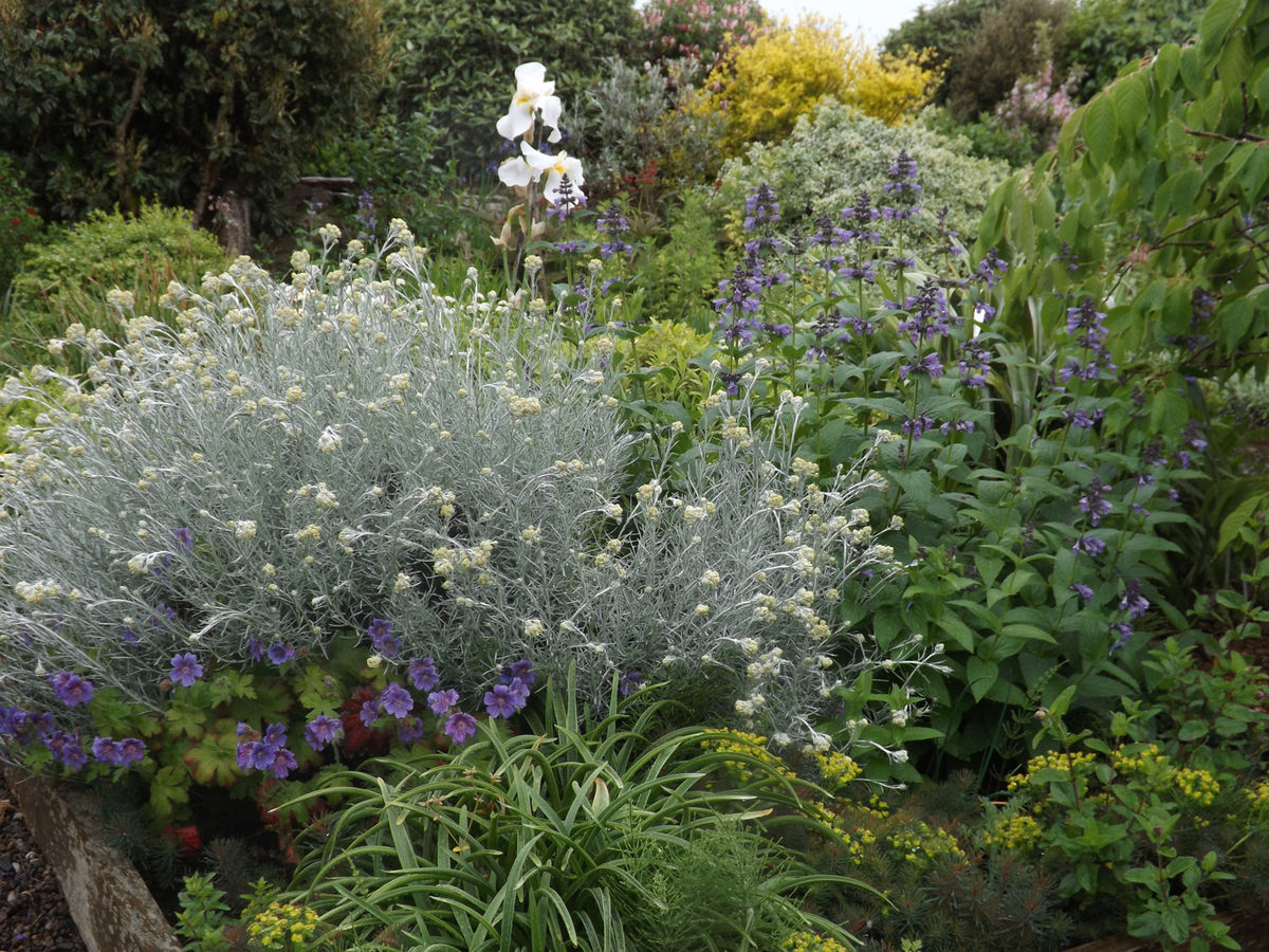 Boarhills Village Gardens