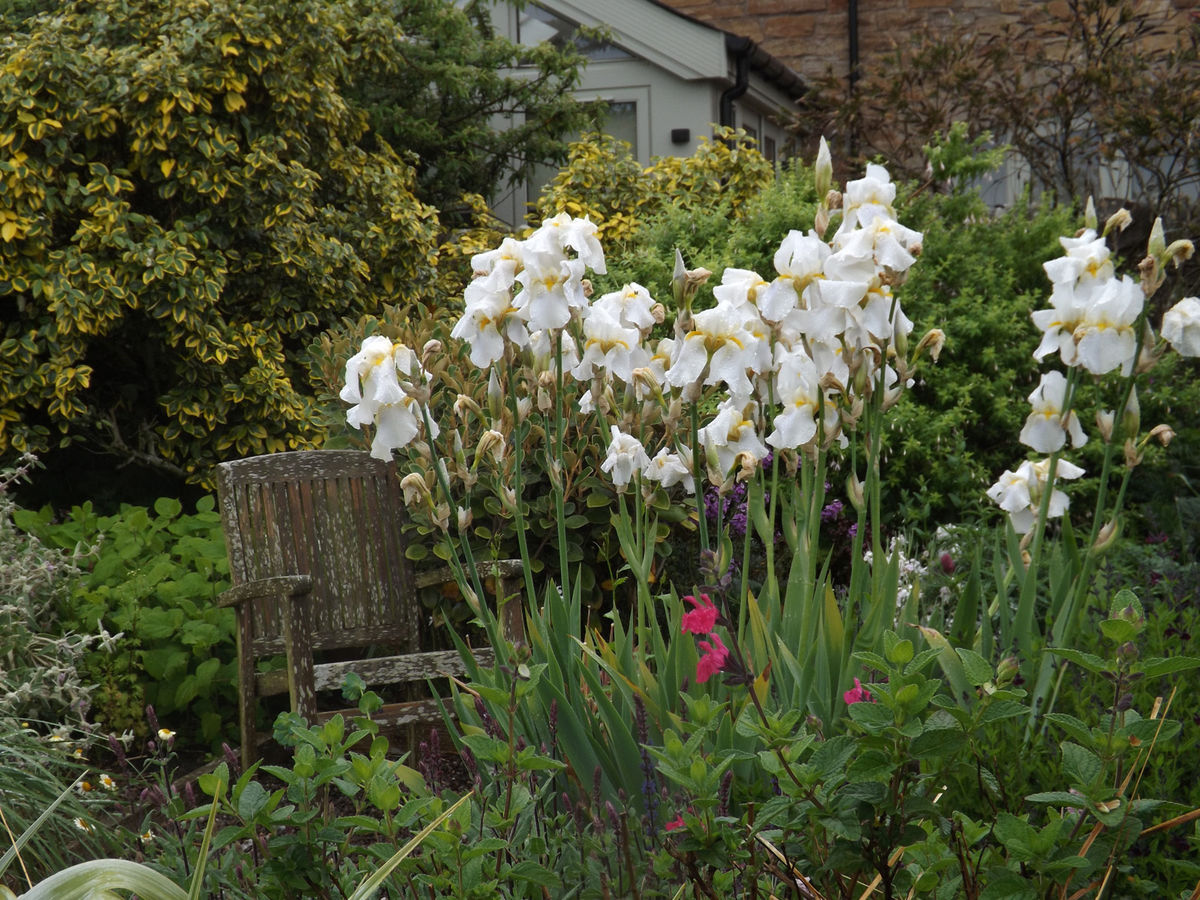 Boarhills Village Gardens