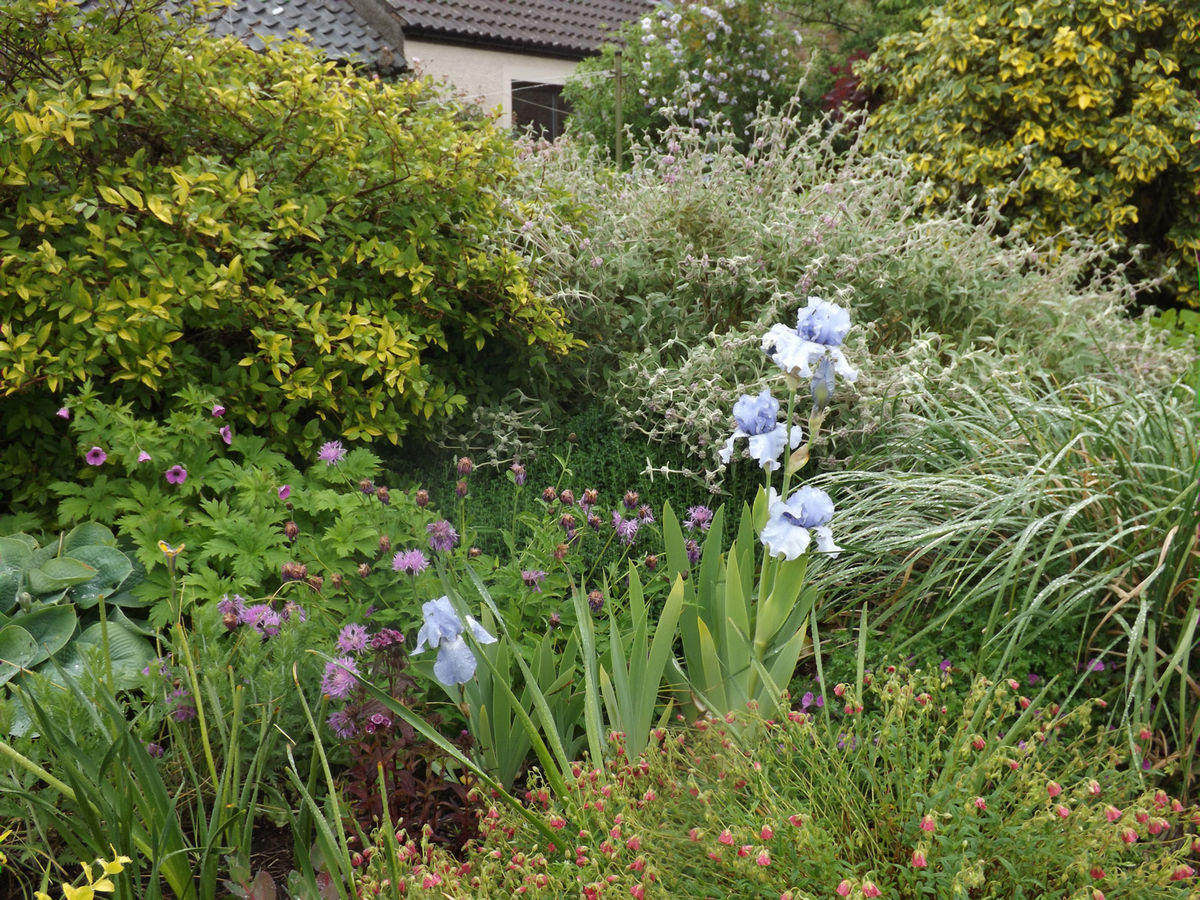 Boarhills Village Gardens