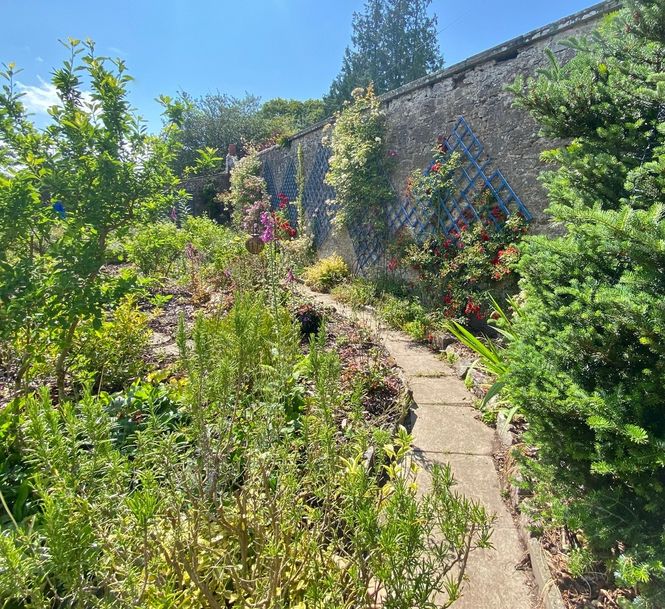 Brechin Gardens in June
