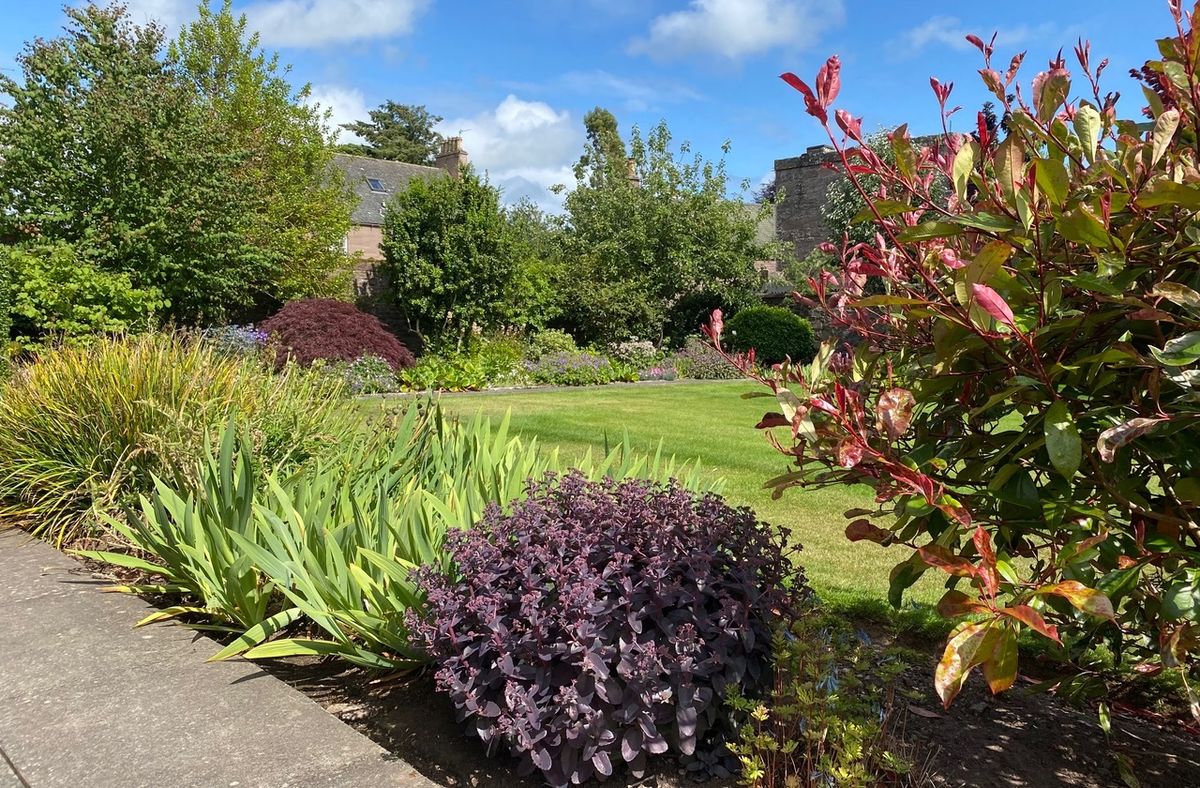 Brechin Gardens in June